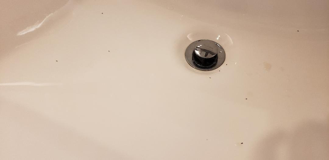 Cambria Hotel Mount Pleasant - Charleston主图