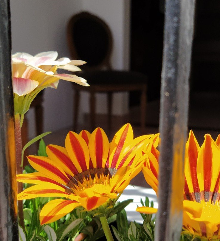 La Casona Hotel Museo主图