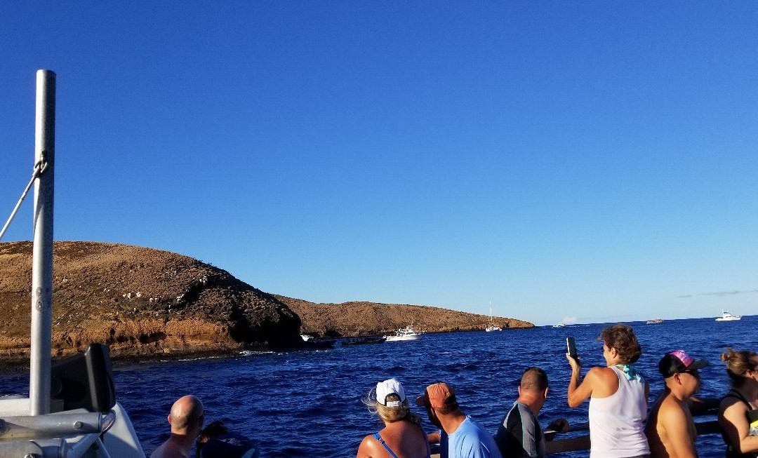 Malolo Molokini Snorkeling Tour-玛阿拉也亚必去景点