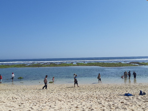 THE VOYAGE BALI by Hendra Guide Francophone Bali-乌布必去景点