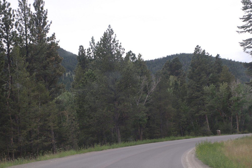 Helena National Forest-赫勒拿必去景点