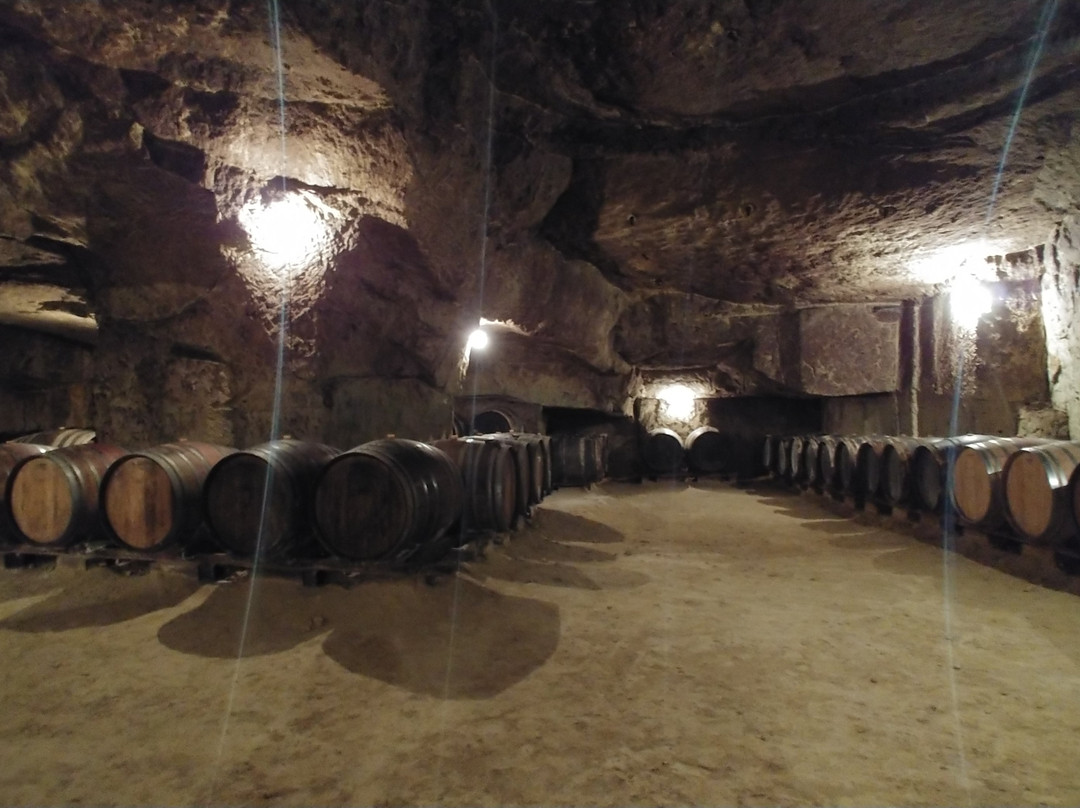 Vignoble de la Jarnoterie-Saint Nicolas de Bourgueil必去景点