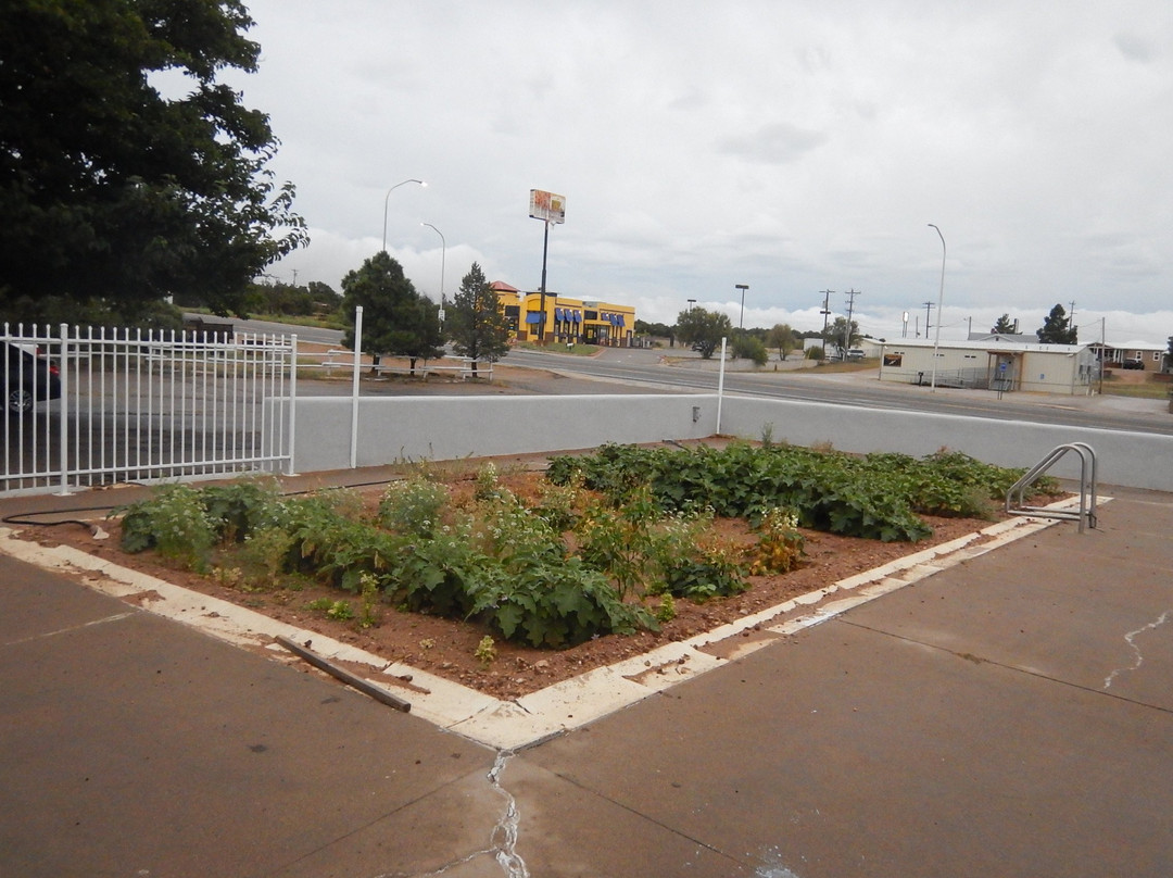 Econo Lodge Inn & Suites主图