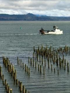 Holiday Inn Express & Suites Astoria by IHG主图