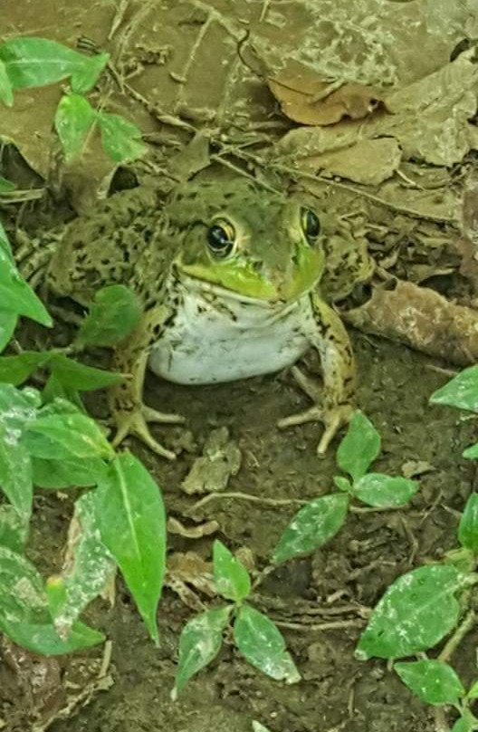 Eden Mill Nature Center-Pylesville必去景点