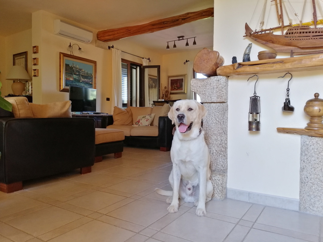 Domo Minnannu Miriu主图