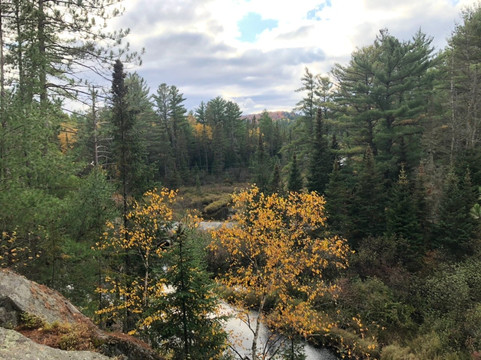 Lake Fever Wilderness Co.-多伦多必去景点