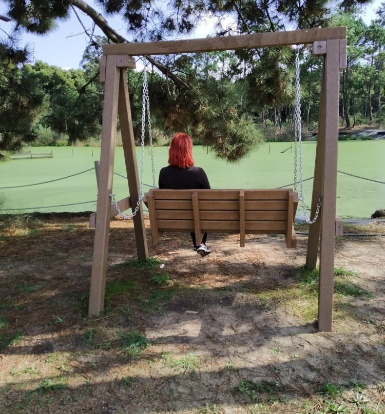 Parque Ambiental do Buçaquinho景点图片