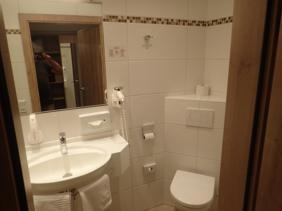 Donauhotel Lettnerhof主图