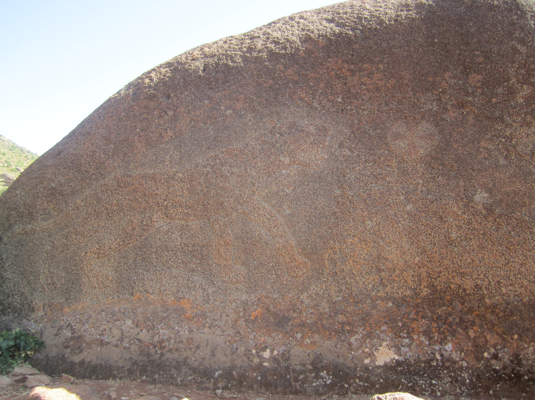 North Ethiopia Tours景点图片