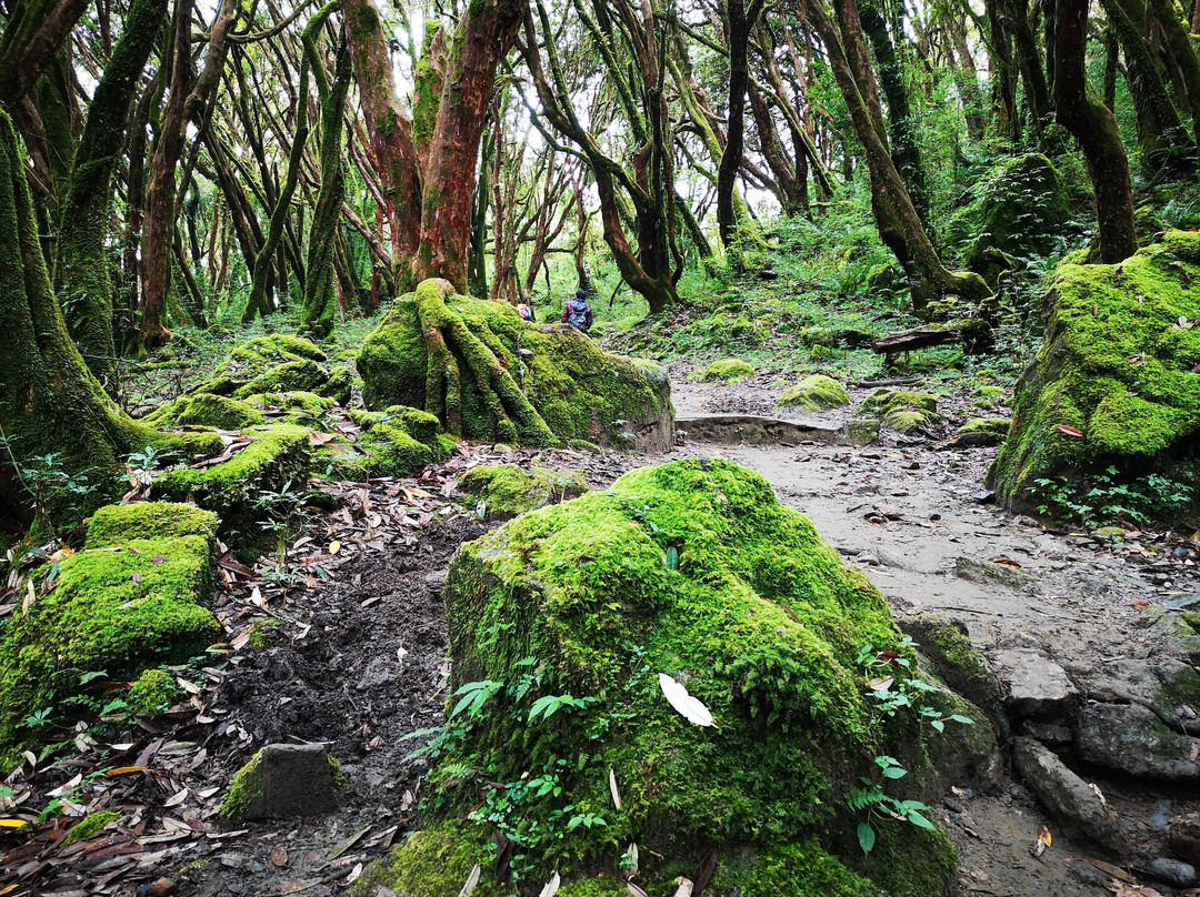 Nepal for Treks P. LTD-博卡拉必去景点