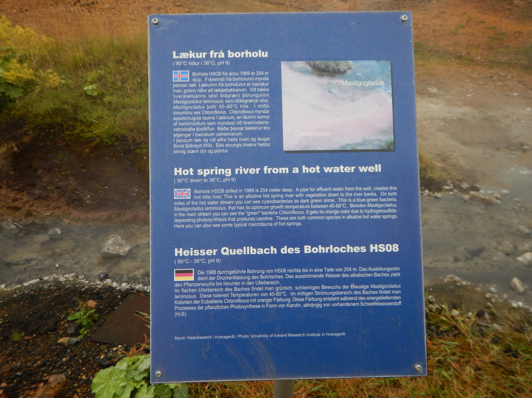 The Geothermal Park Hveragerdi景点图片