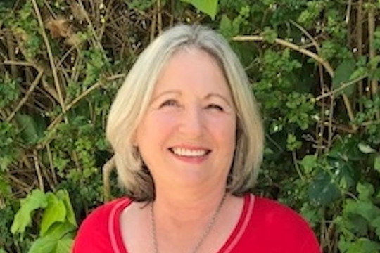 Independent Tours Tauranga