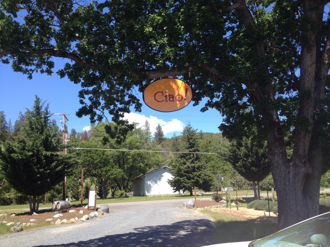 Fiasco Winery-Jacksonville必去景点