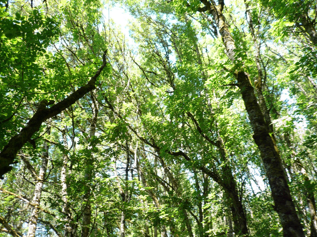 Ankeny National Wildlife Refuge