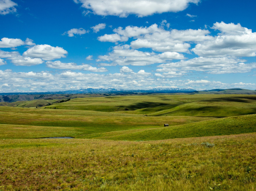 Enterprise旅游景点-Zumwalt Prairie Preserve