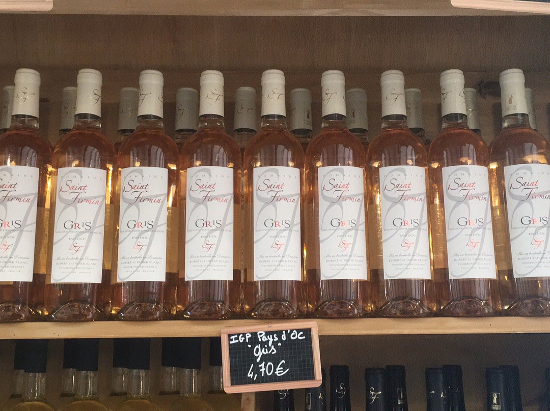 Domaine de Saint Firmin-泽斯必去景点