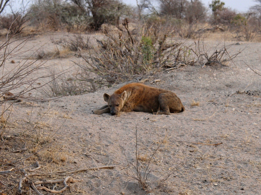 Ivory Wilderness River Rock Lodge主图