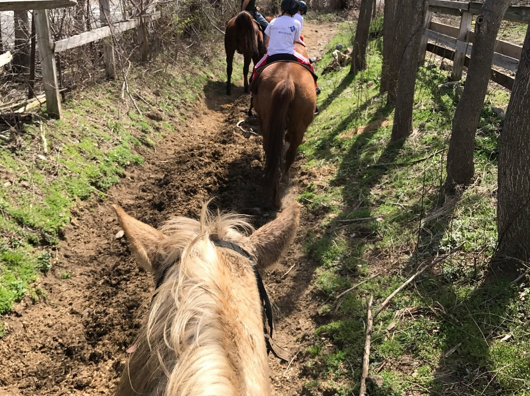 Legends Riding Stables景点图片