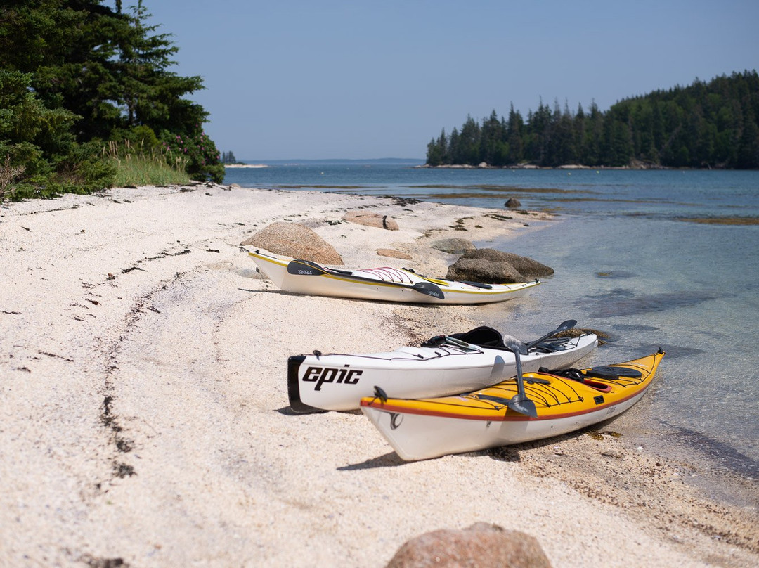 Driftwood Kayak景点图片