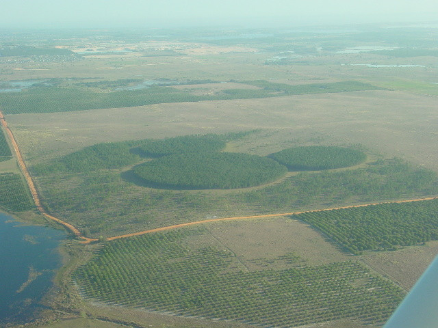 Bob's Balloons-奥兰多必去景点