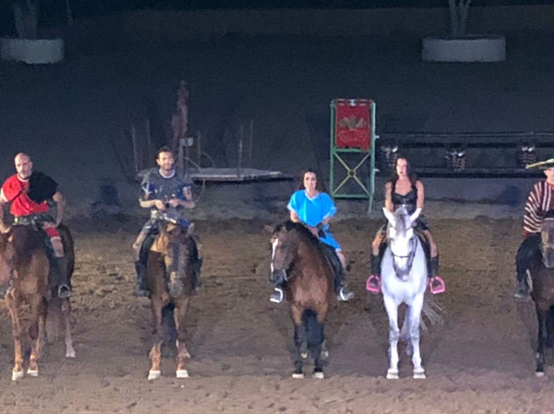 Gladiux-圣克鲁斯-德特内里费必去景点