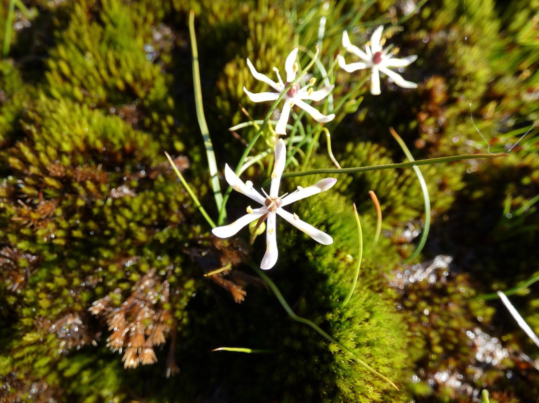 Hidden Hollow-Narembeen必去景点