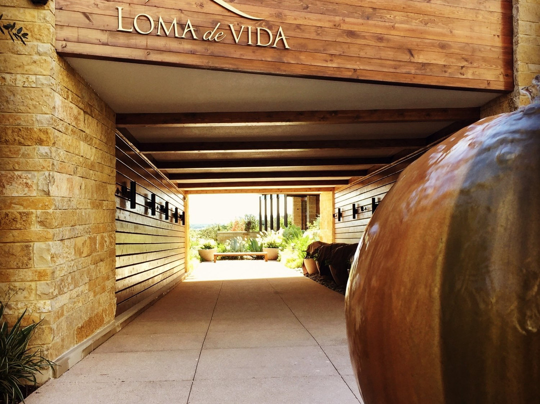 Loma de Vida Spa and Wellness-圣安东尼奥市必去景点