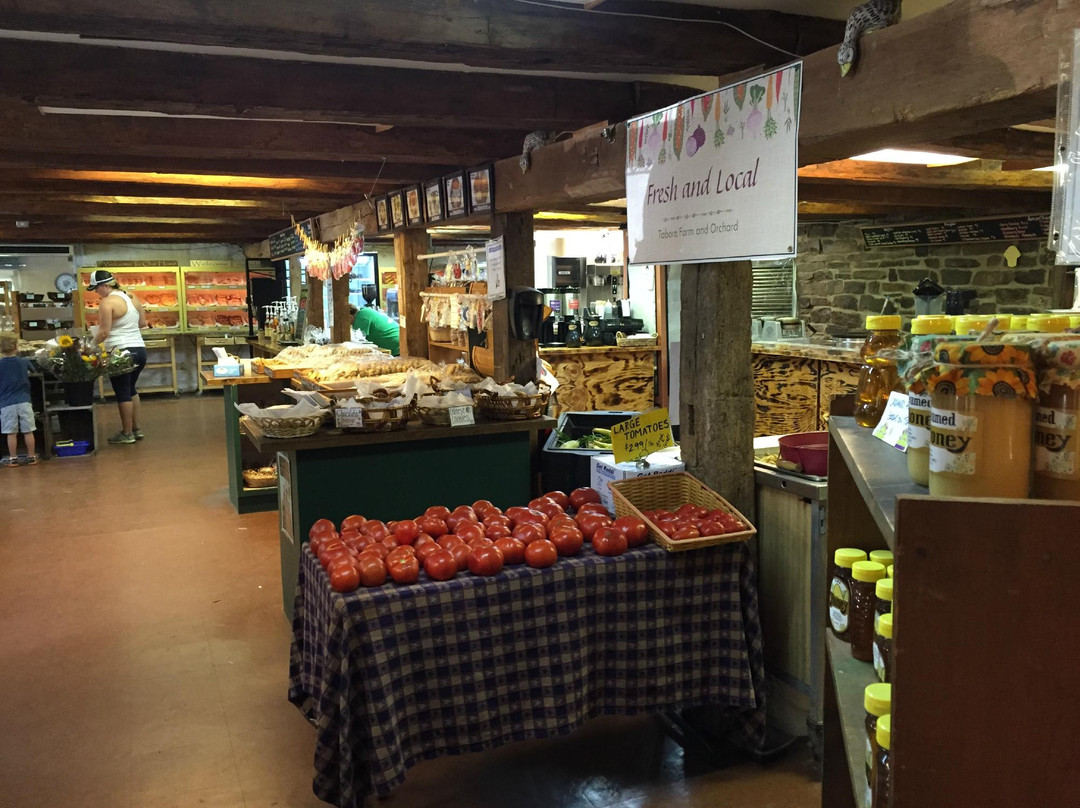 Tabora Farm and Orchard景点图片