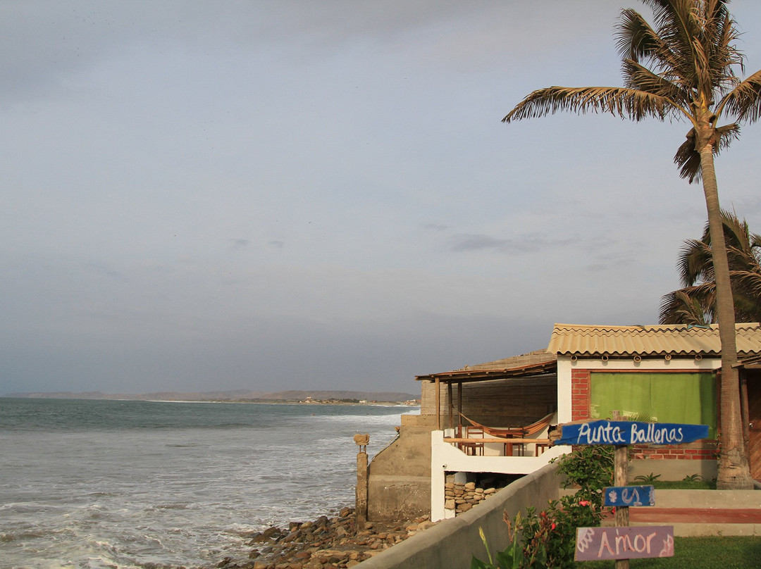 Punta Veleros旅游攻略图片