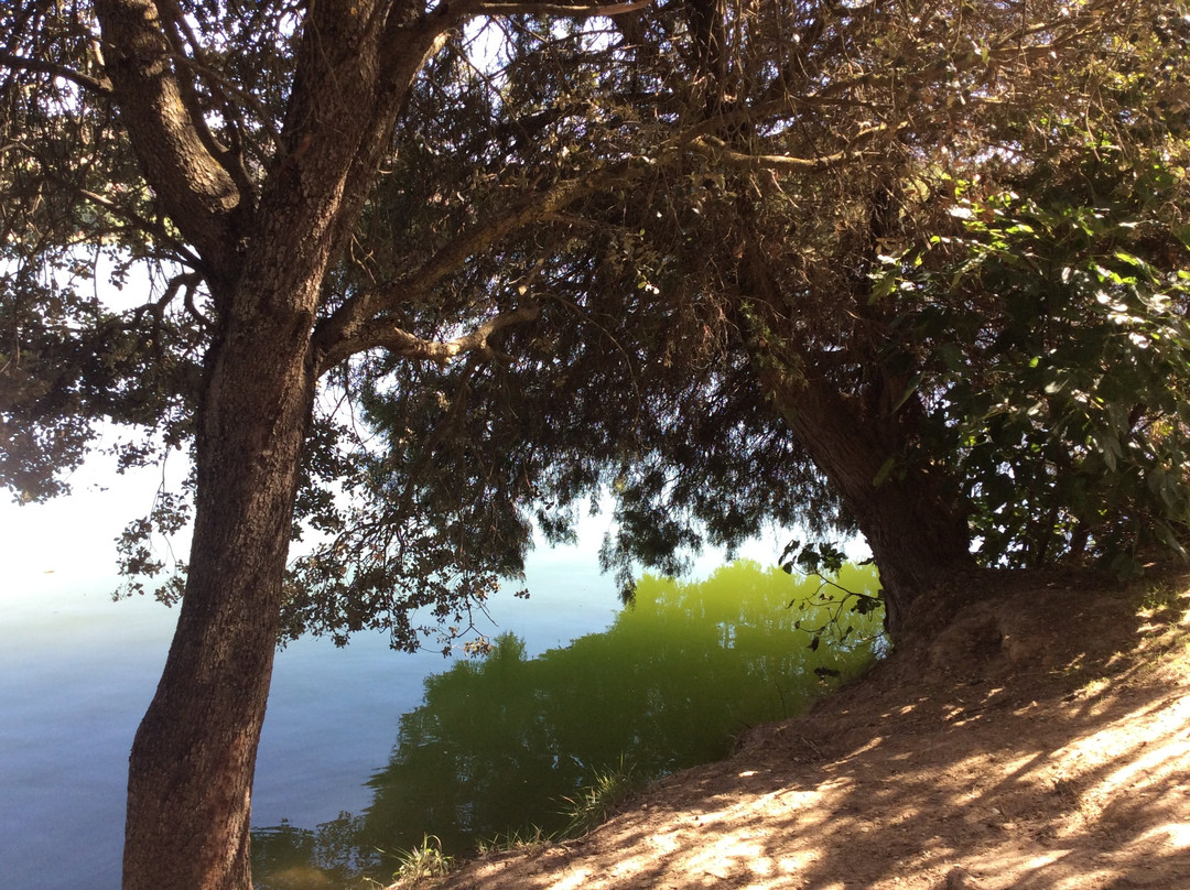 Parque Natural Lagunas de Ruidera景点图片