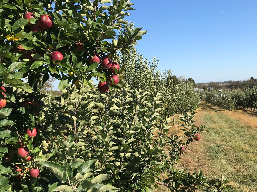 Reed Valley Orchard-Paris必去景点