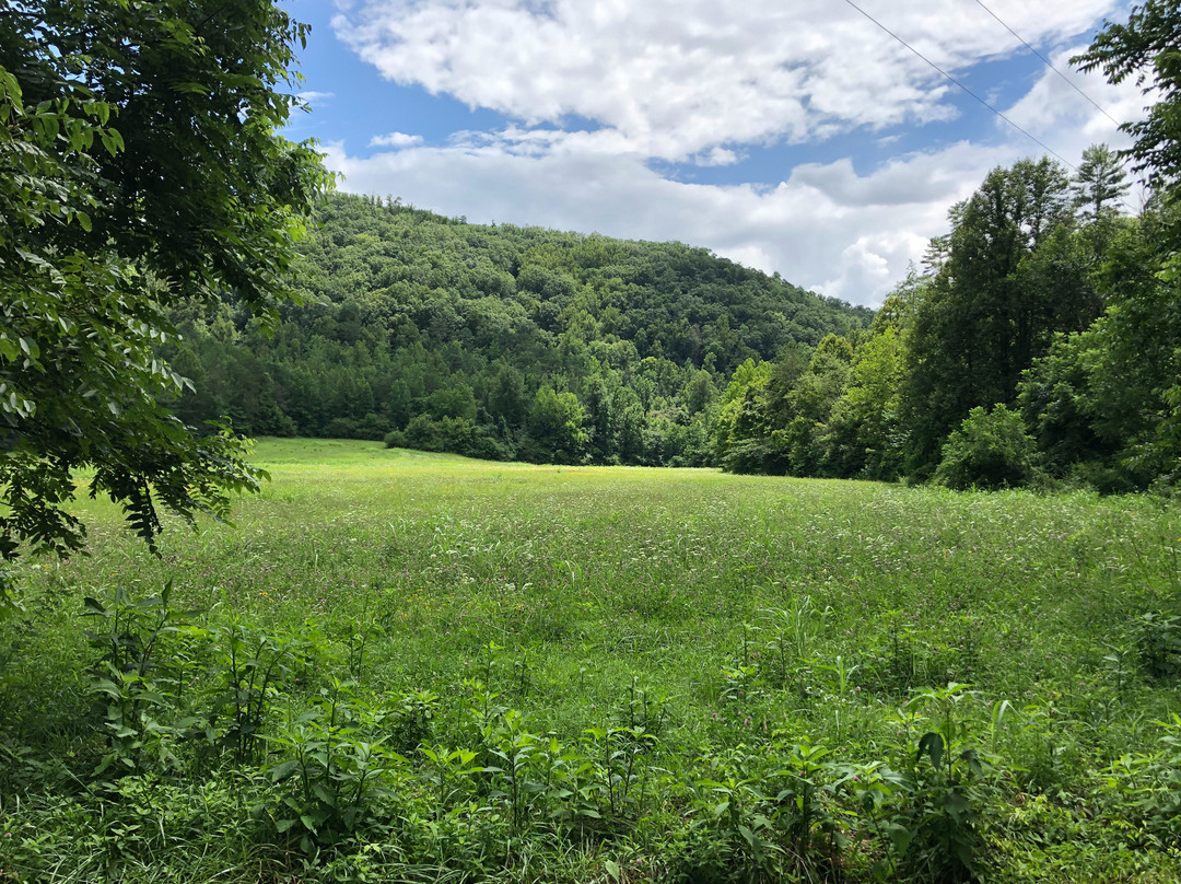 Creekwalk Inn at Whisperwood Farm主图