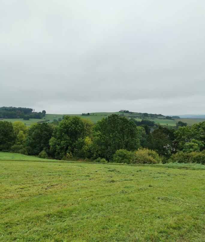 Vulkanhotel Steffelberg主图