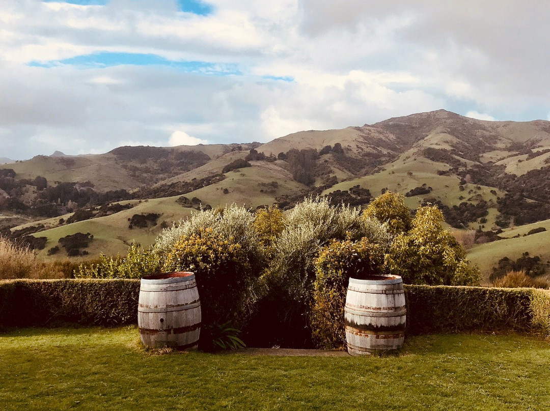 Takamatua Valley Vineyard景点图片