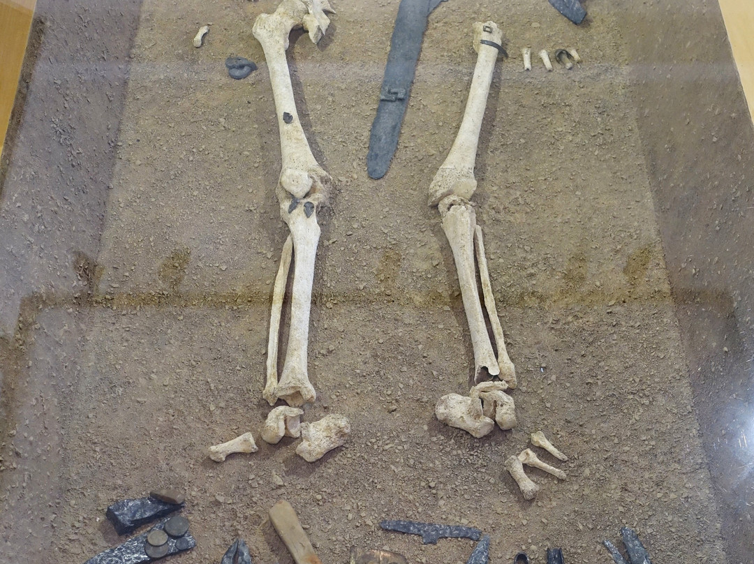 Musée de Normandie景点图片