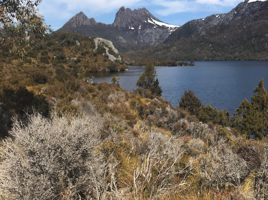 McDermott's Coaches-摇篮山圣克莱尔湖国家公园必去景点