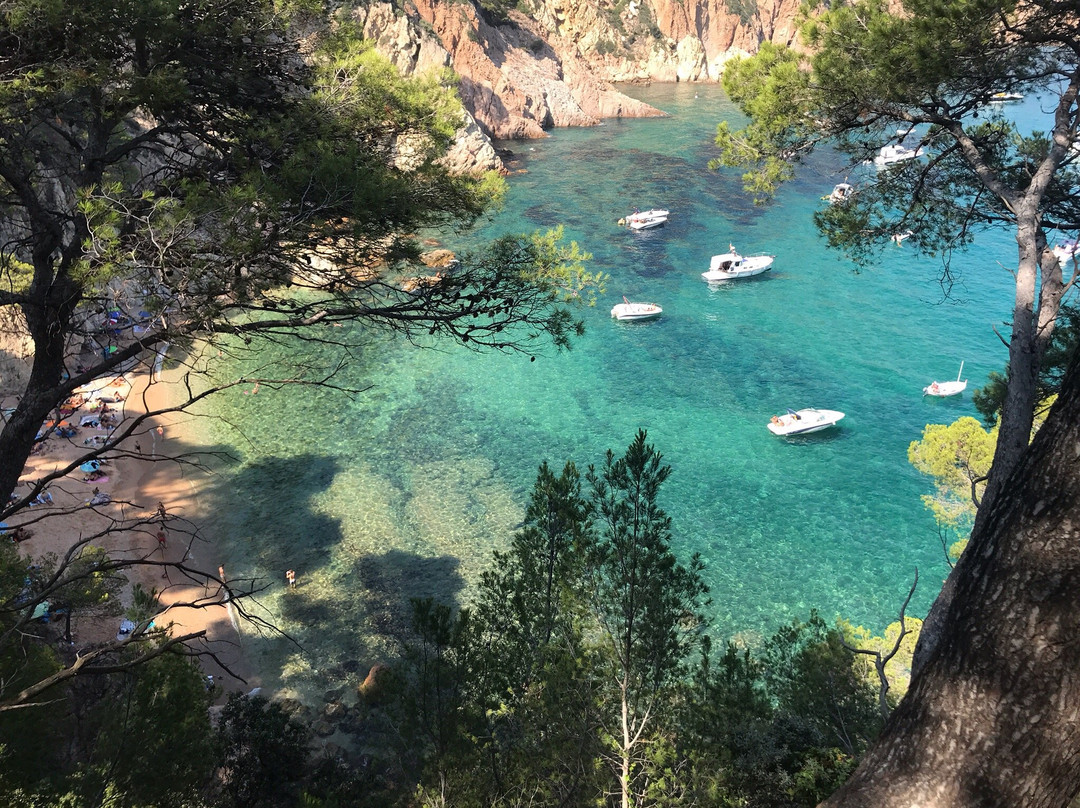 Cala Futadera景点图片