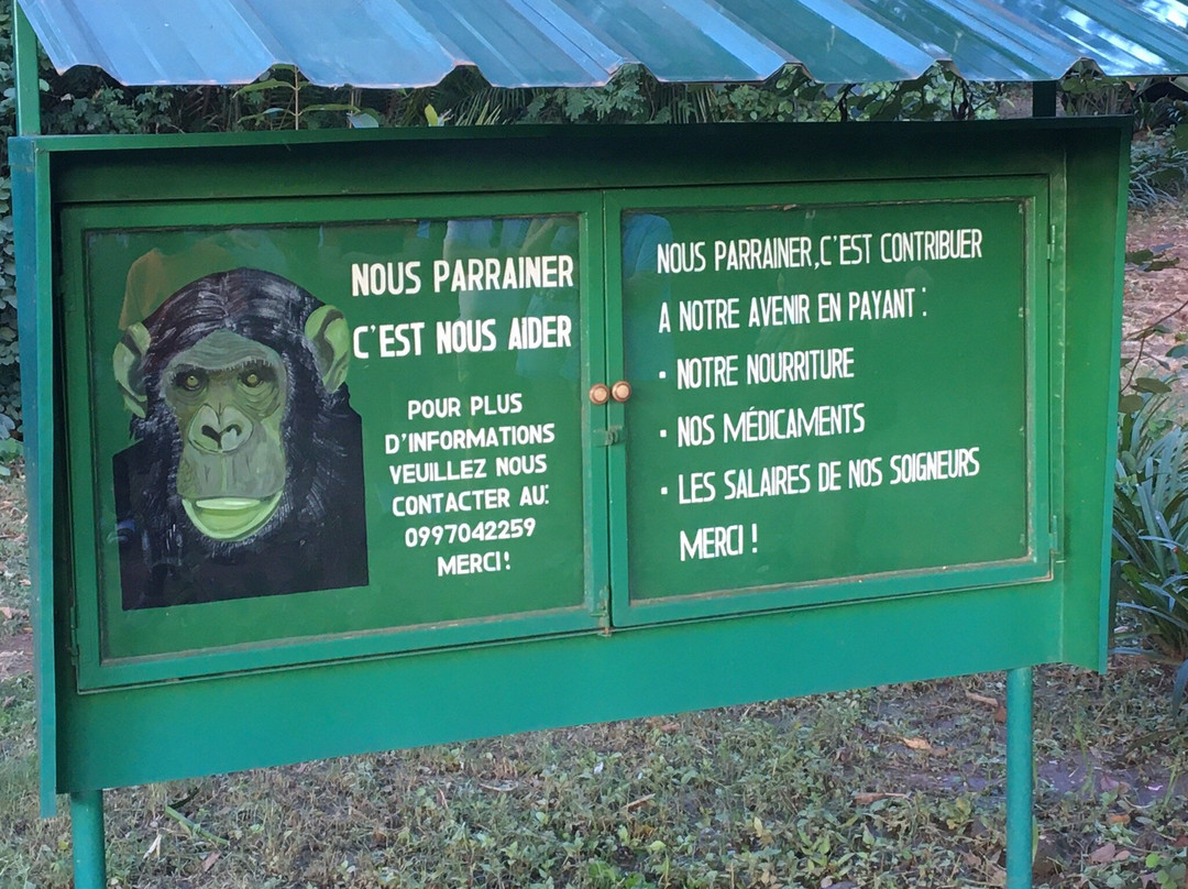 J.A.C.K Primate Rehabilitation Centre景点图片