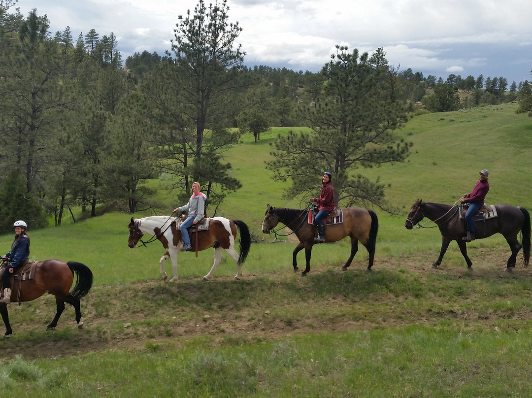 Bitter Creek Outfitters-比灵斯必去景点