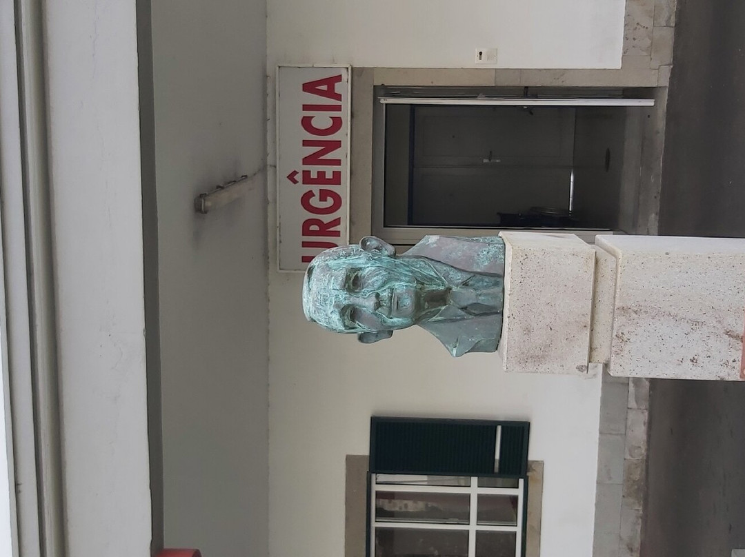Estatua Dr Francisco Rodrigues Jardim