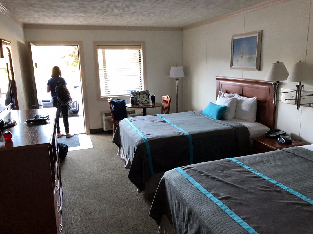 Harbor Lights Resort主图