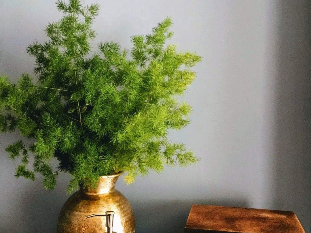 ayurveda room景点图片