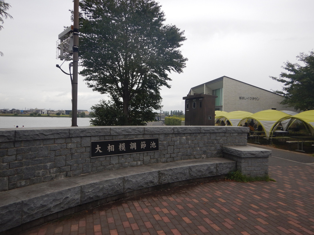 Osagami Retention Basin-越谷市必去景点