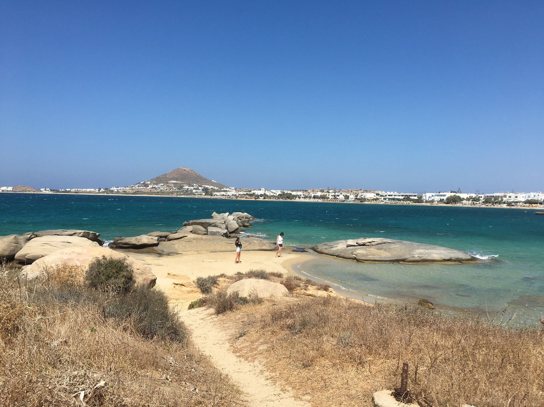 Summer Dream II主图