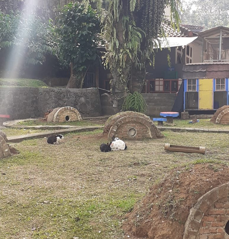 Athalia Resort主图