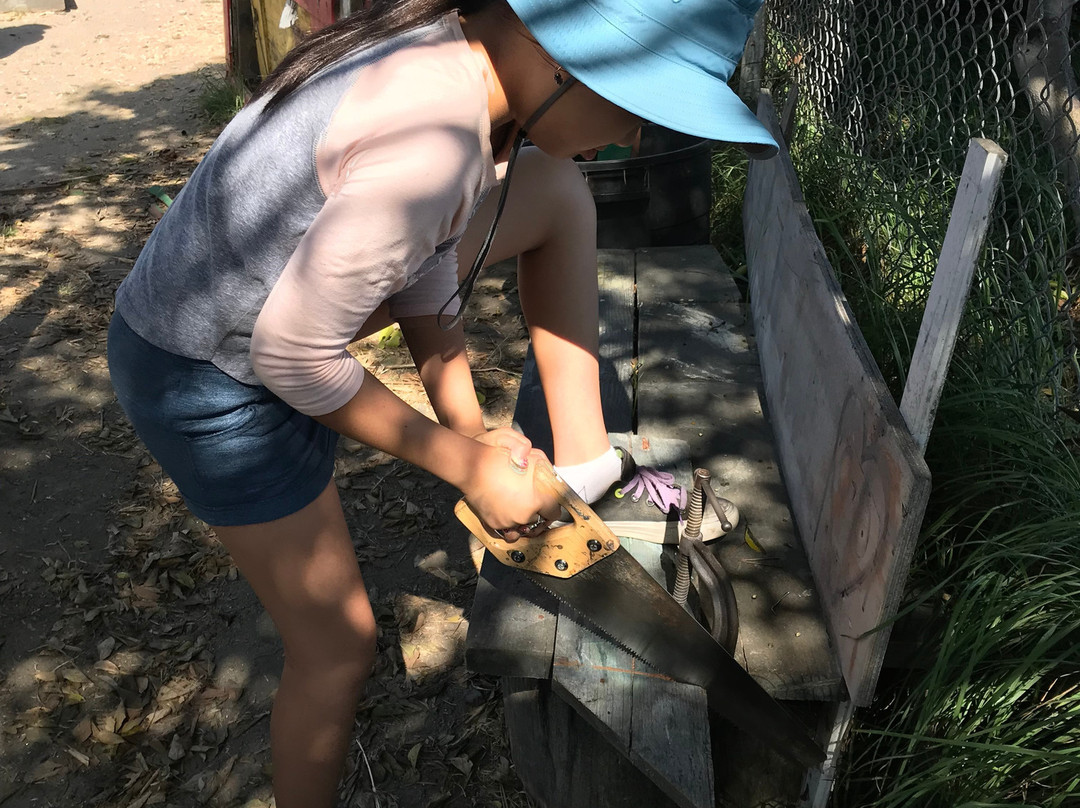 Adventure Playground-伯克利必去景点