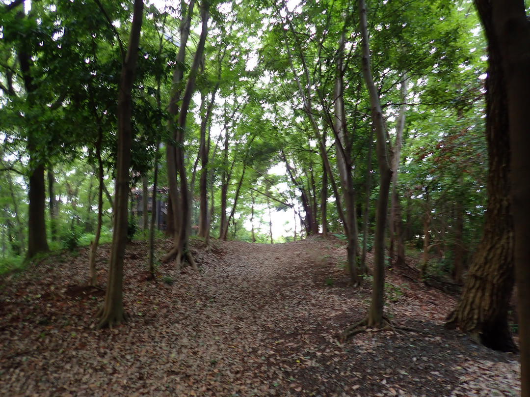 Shiroyama Park-稻城市必去景点