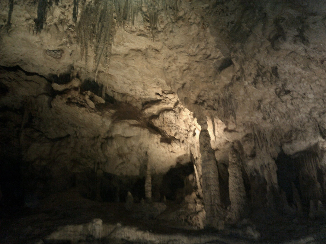 Mammoth Cave景点图片
