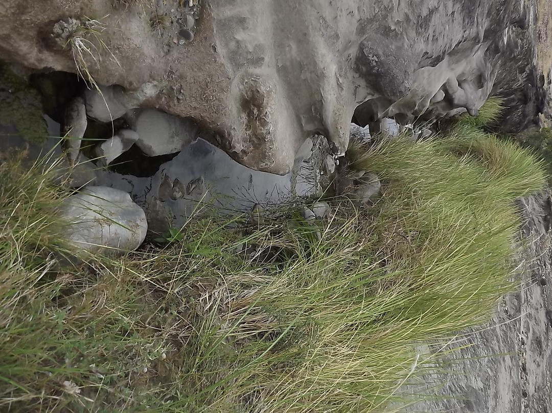 Tocayá Natura-Villavieja必去景点